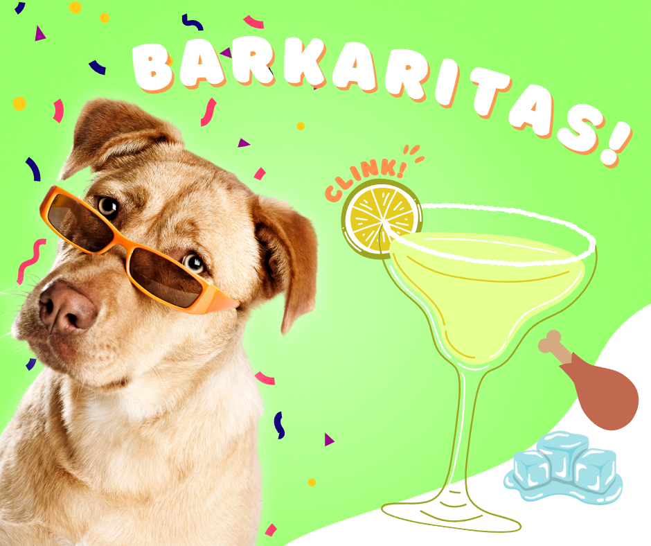 Barkaritas!