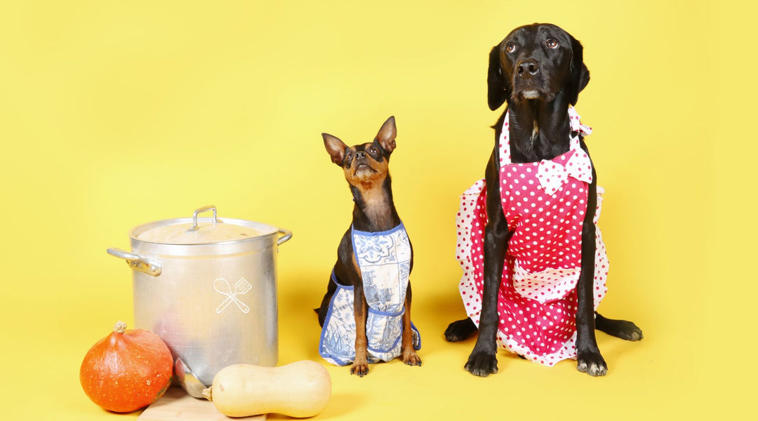 Cook for Your Dog Day on November 1st: Sharing Love Through Home-Cooked Meals