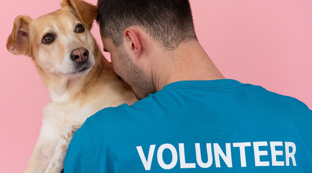 Embracing Unconditional Love: The Joy of Volunteering with Dogs