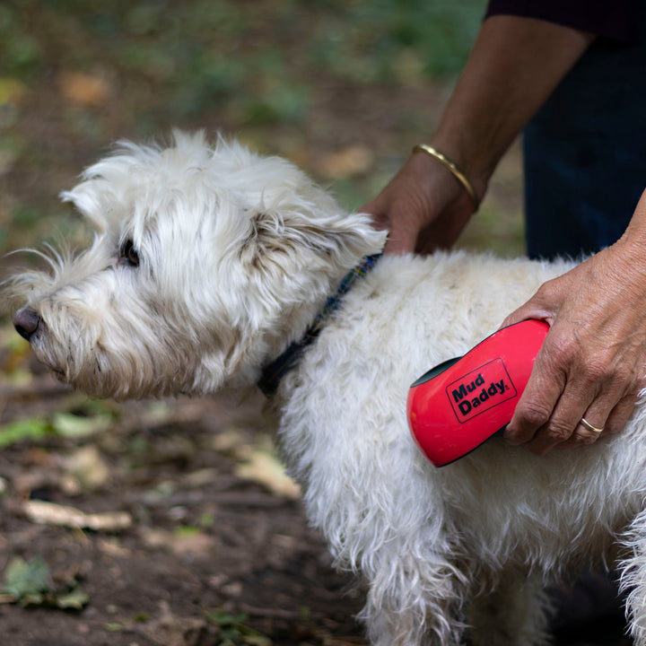 Mud Daddy® Detangling & Deshedding Brush