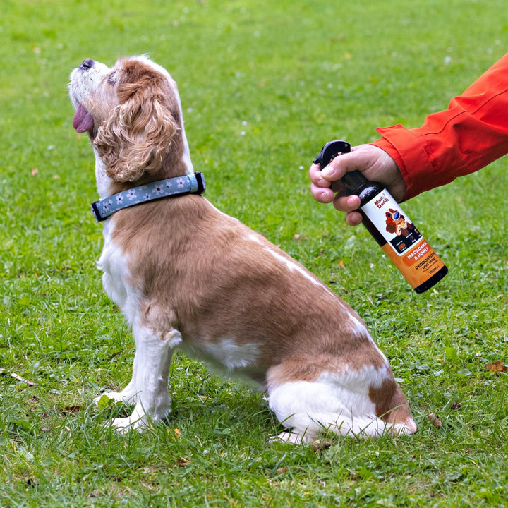 Mud Daddy® Deodorising Dog Spray 250ml