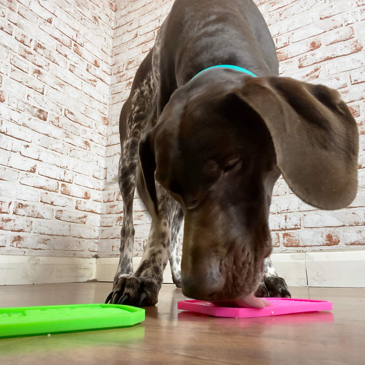 Mud Daddy® Licking Mat