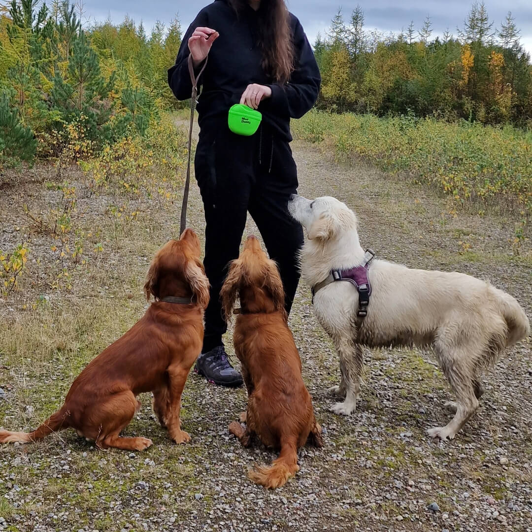 Mud Daddy® Treat Bag