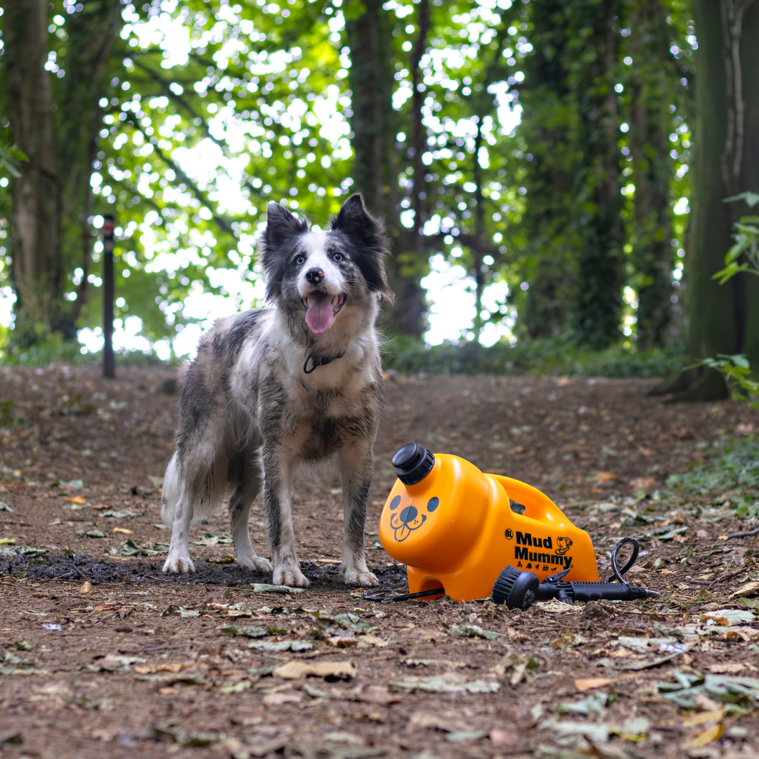 ORIGINAL MANUAL Mud Mummy® 8L | Portable Pet Washing Device | Muddy Walks | Pet Cleaning